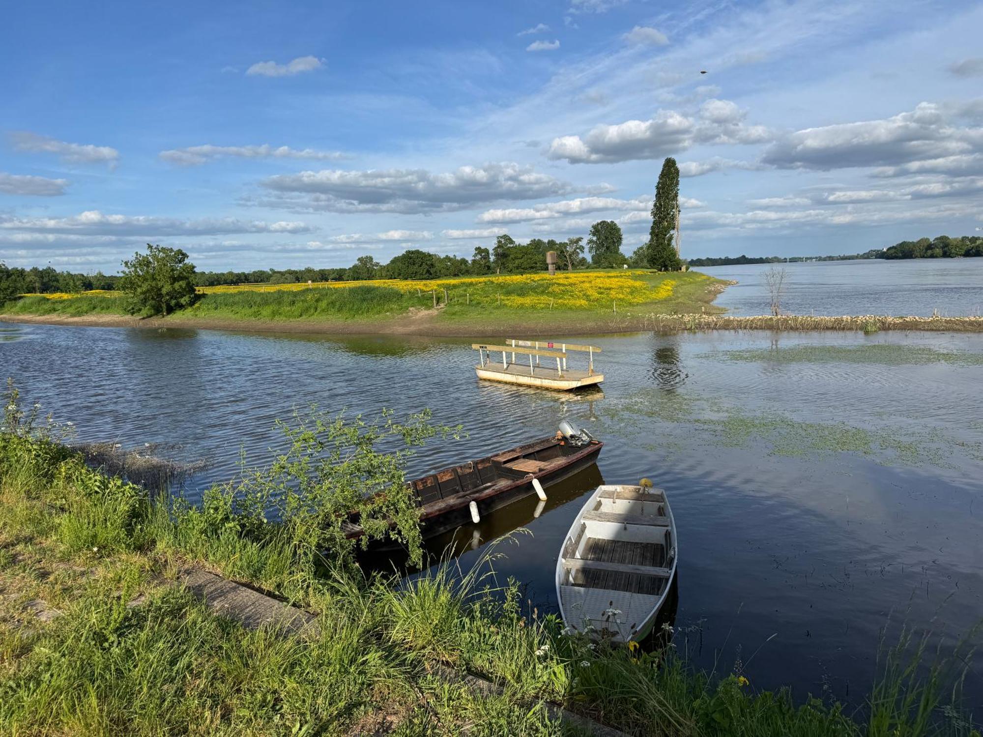 Gîte Loirizon Ingrandes  Esterno foto